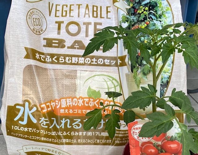 トートバッグでトマトを育てる！